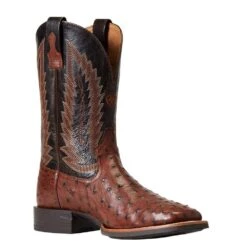 Ariat Men`s Quantum Primo Antique Tobac FQ Ostrich 11in. Thunder Brown Top Square Toe Boots -Root Walk Shoes Store 10040304 3