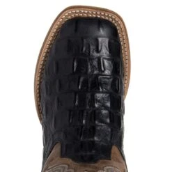 Old West Kids Old West Black Horn Back Gator/Tan Fry Cowboy Boots -Root Walk Shoes Store BSC1829 4